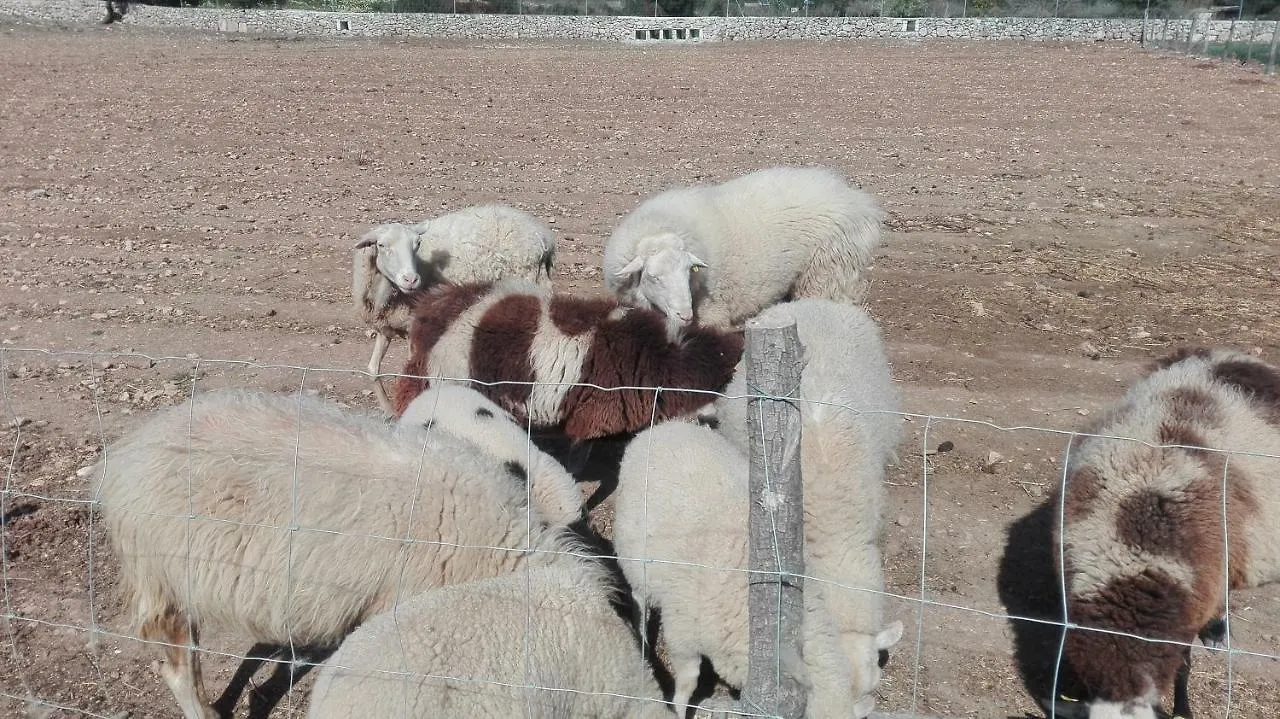 Sa Granja Villa Artá 0*,